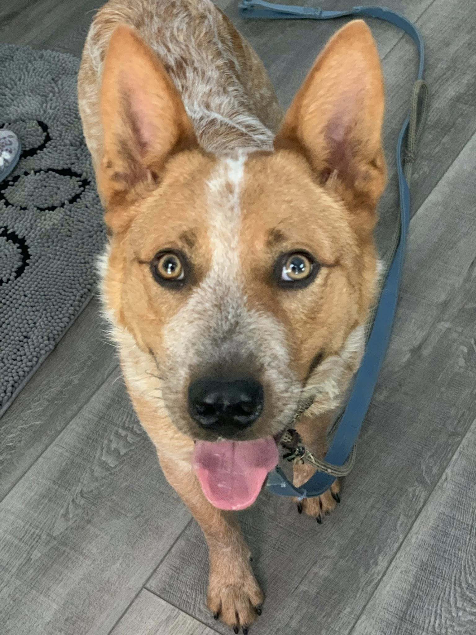 Rusty
