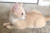 Bobba photo 2