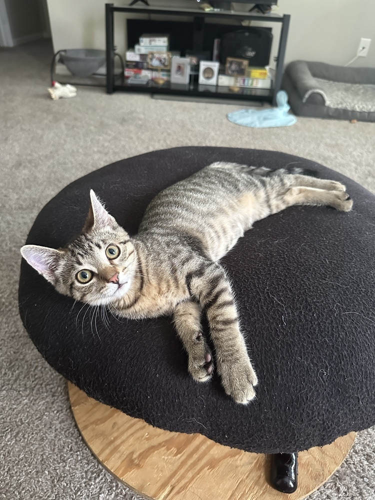 Freya