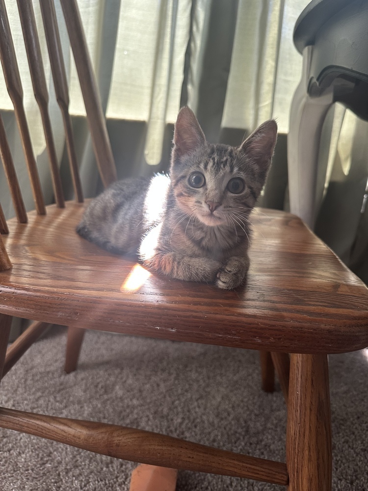 Freya