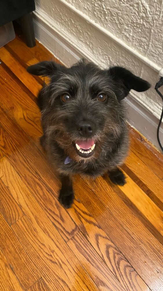 Rico