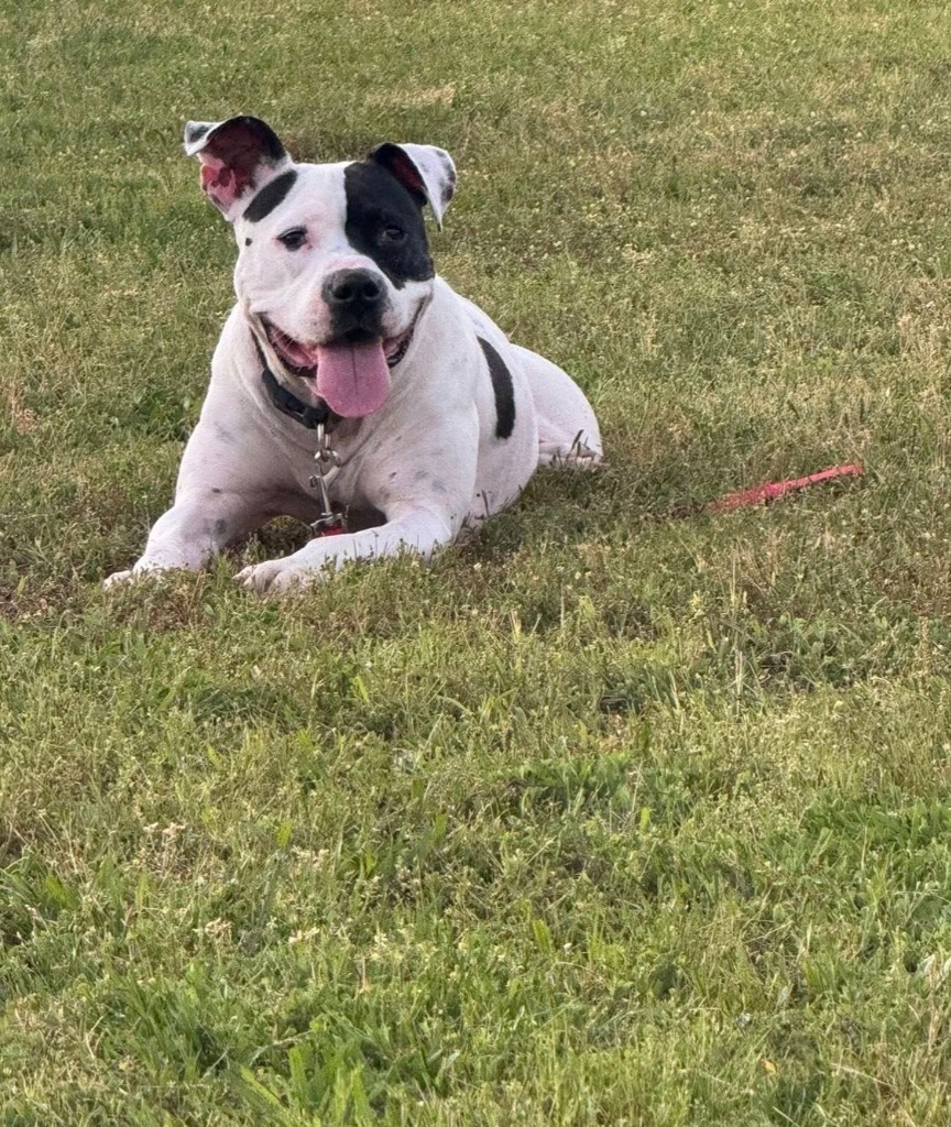 Georgia