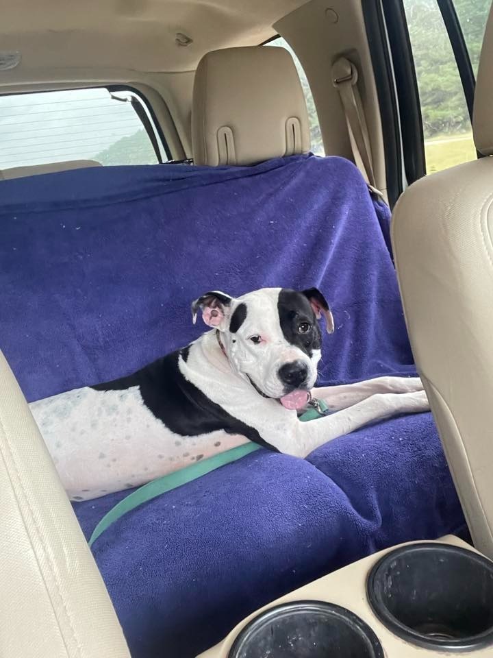 Georgia
