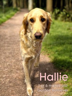 Photo of Hallie