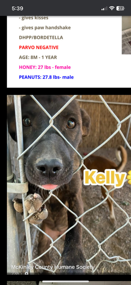 Kelly