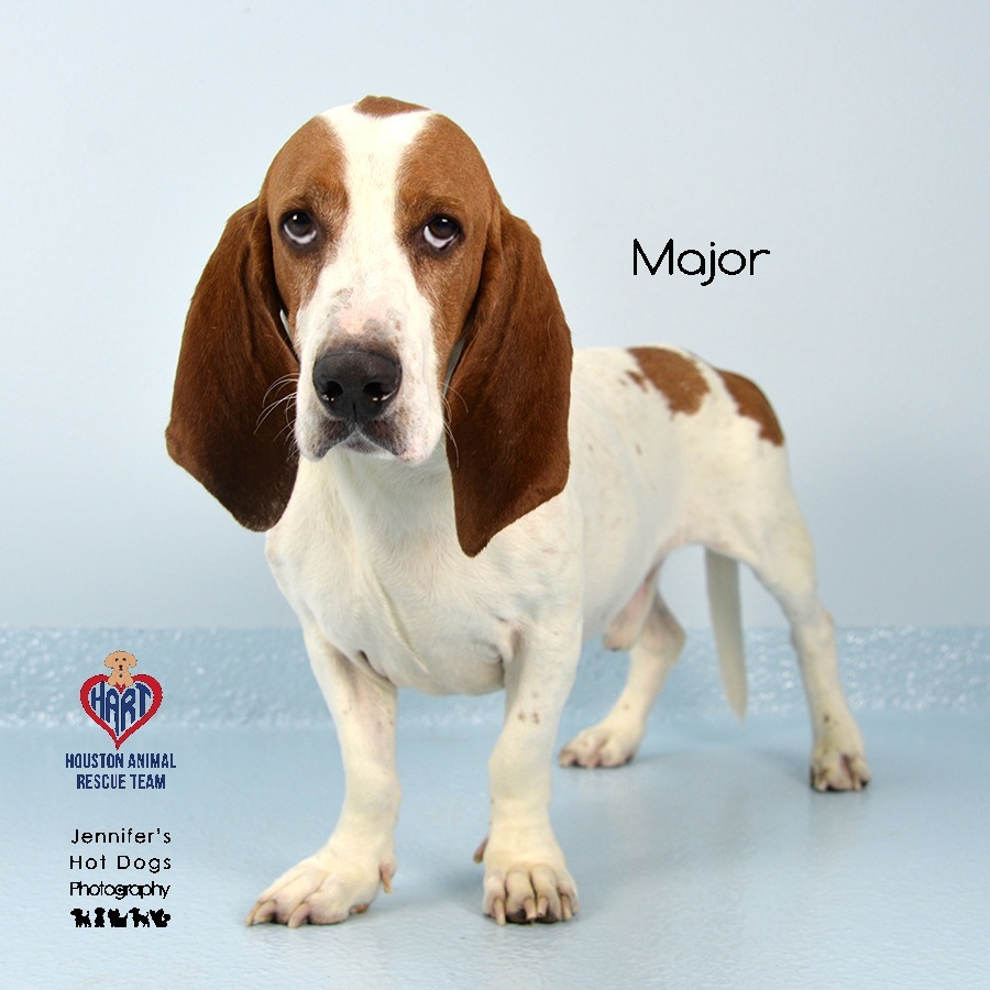 Major