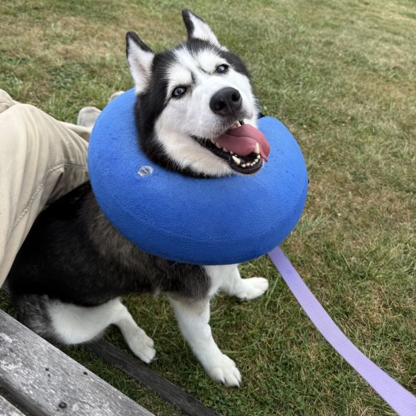 Luna