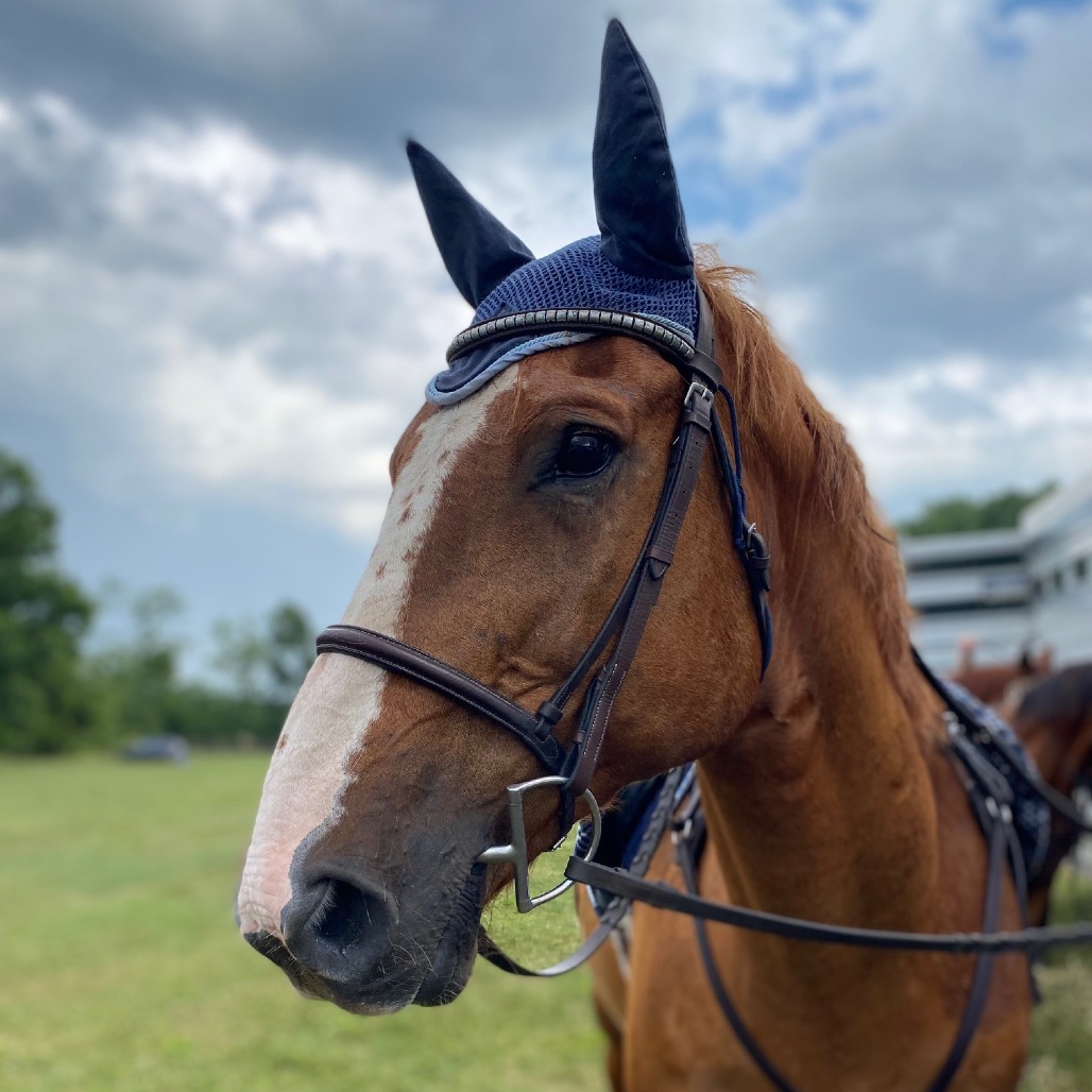 Stetson
