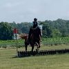Stetson photo 3