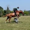 Stetson photo 5