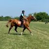 Stetson photo 6
