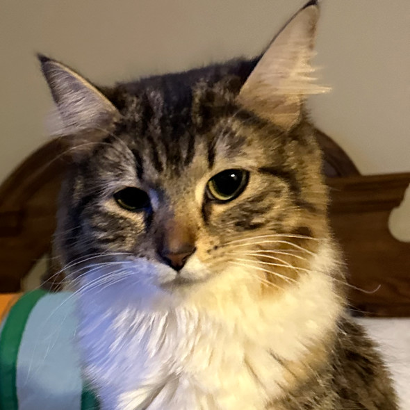 Lily