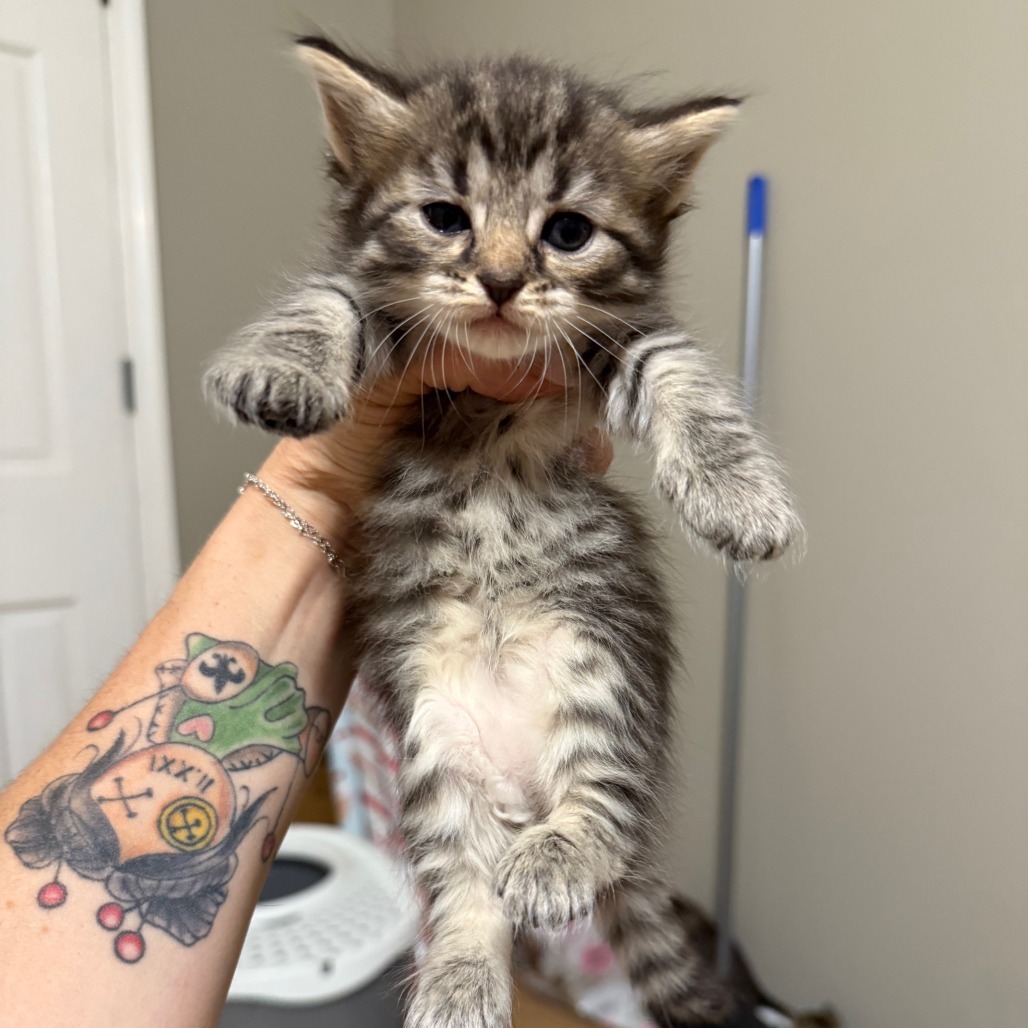 Spanky
