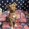Little Lola photo 2