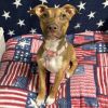 Little Lola photo 3