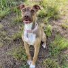 Little Lola photo 5