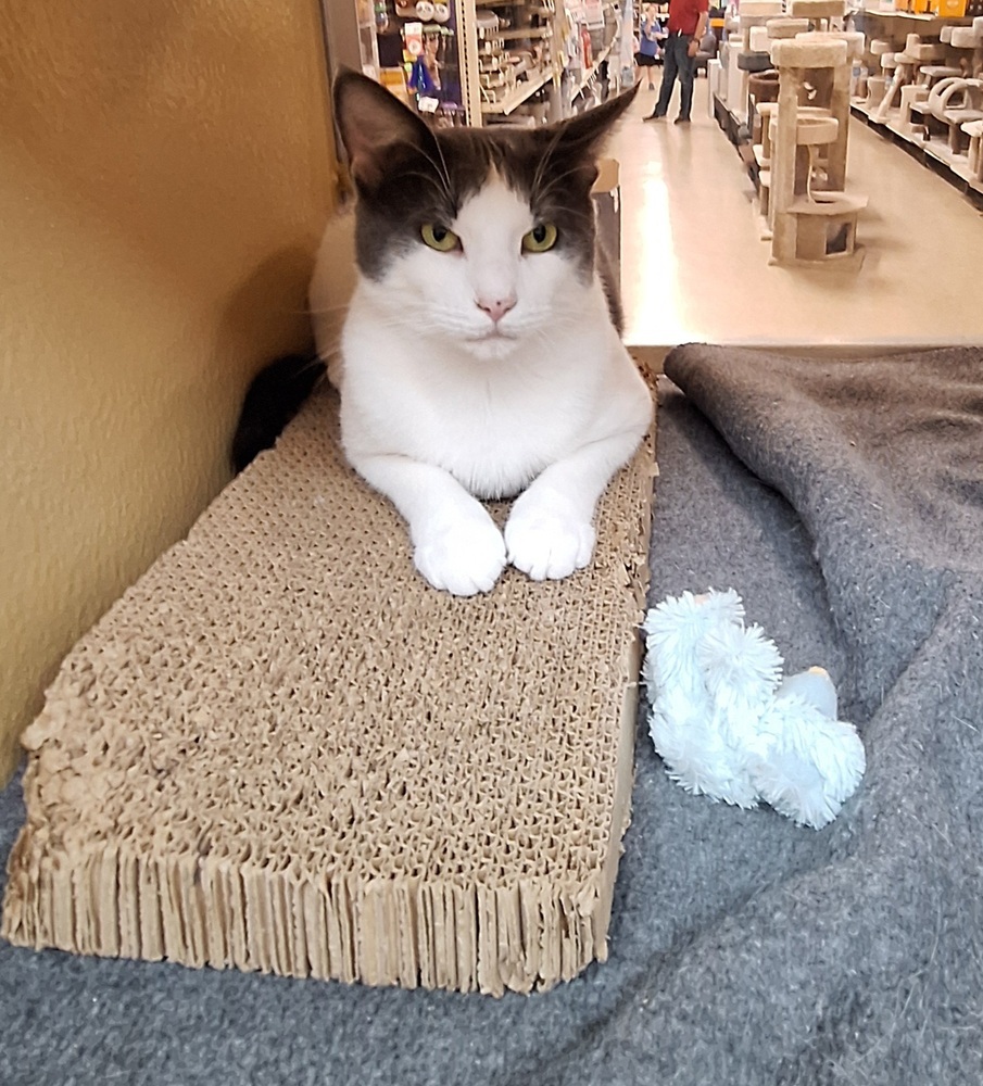 Sergei