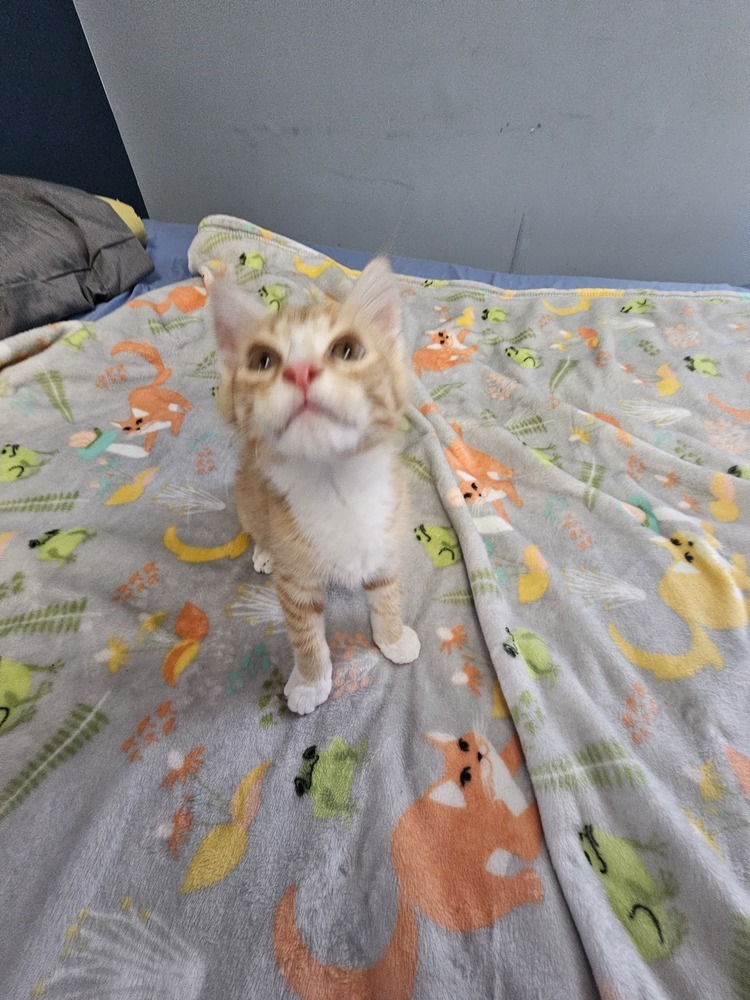 Theodore
