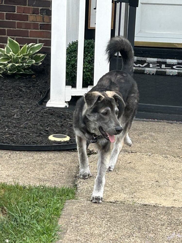 Mia