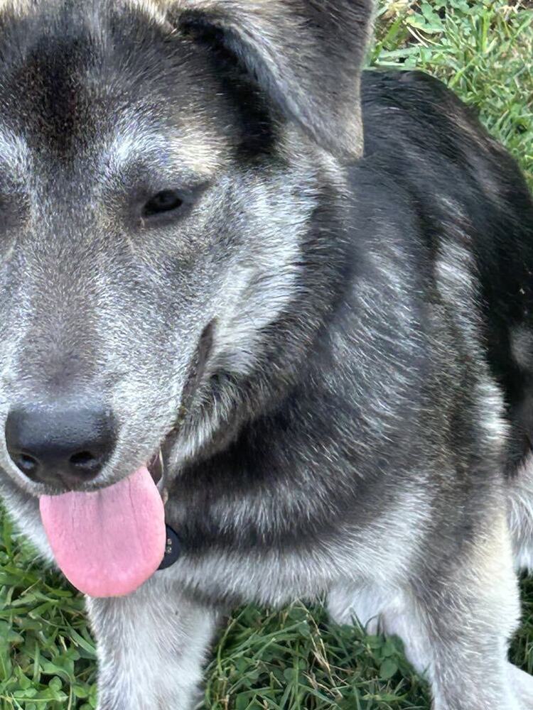 Mia