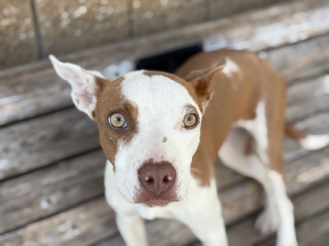 LULU