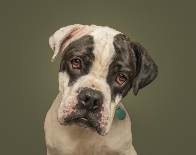 OTIS
