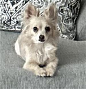 LILAH, Young Female unknown