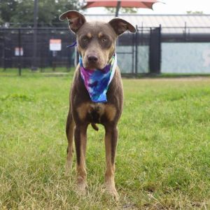 MS PRETTY GIRL, Young Female unknown