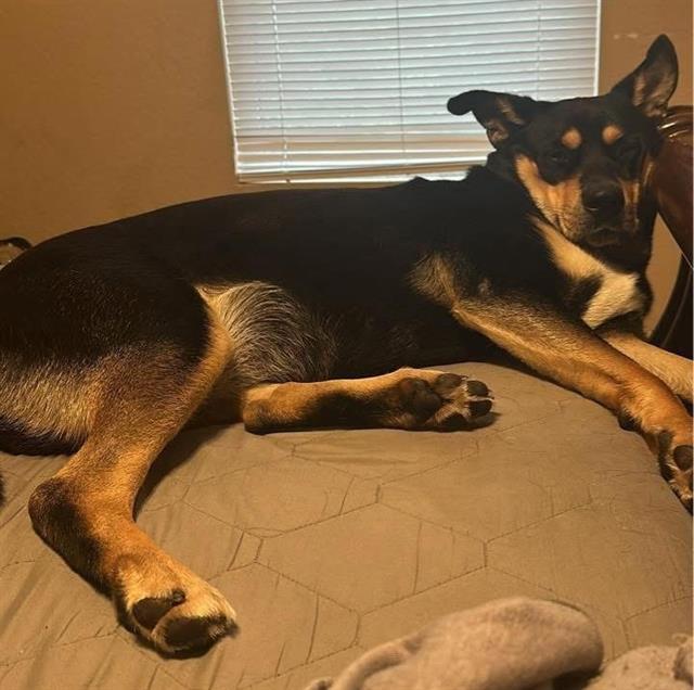 ZENA