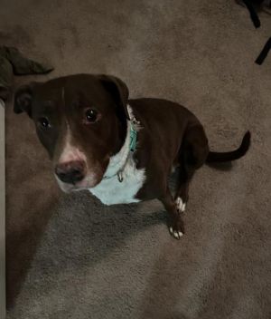 XENA, Adult Female unknown