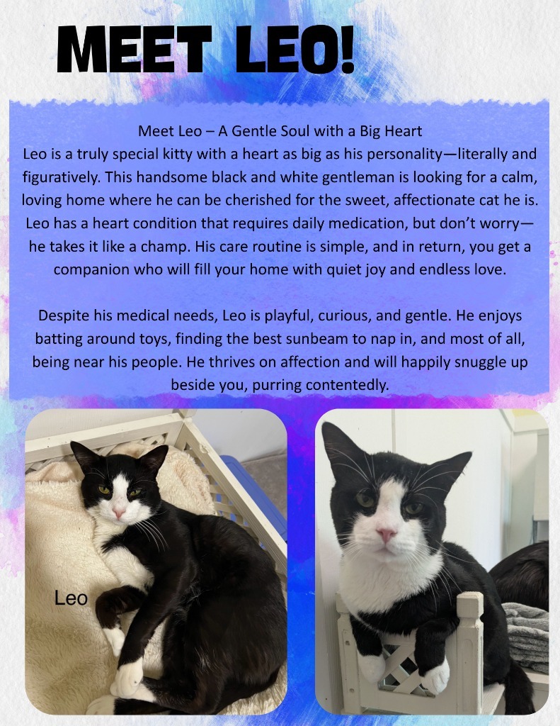 Leo