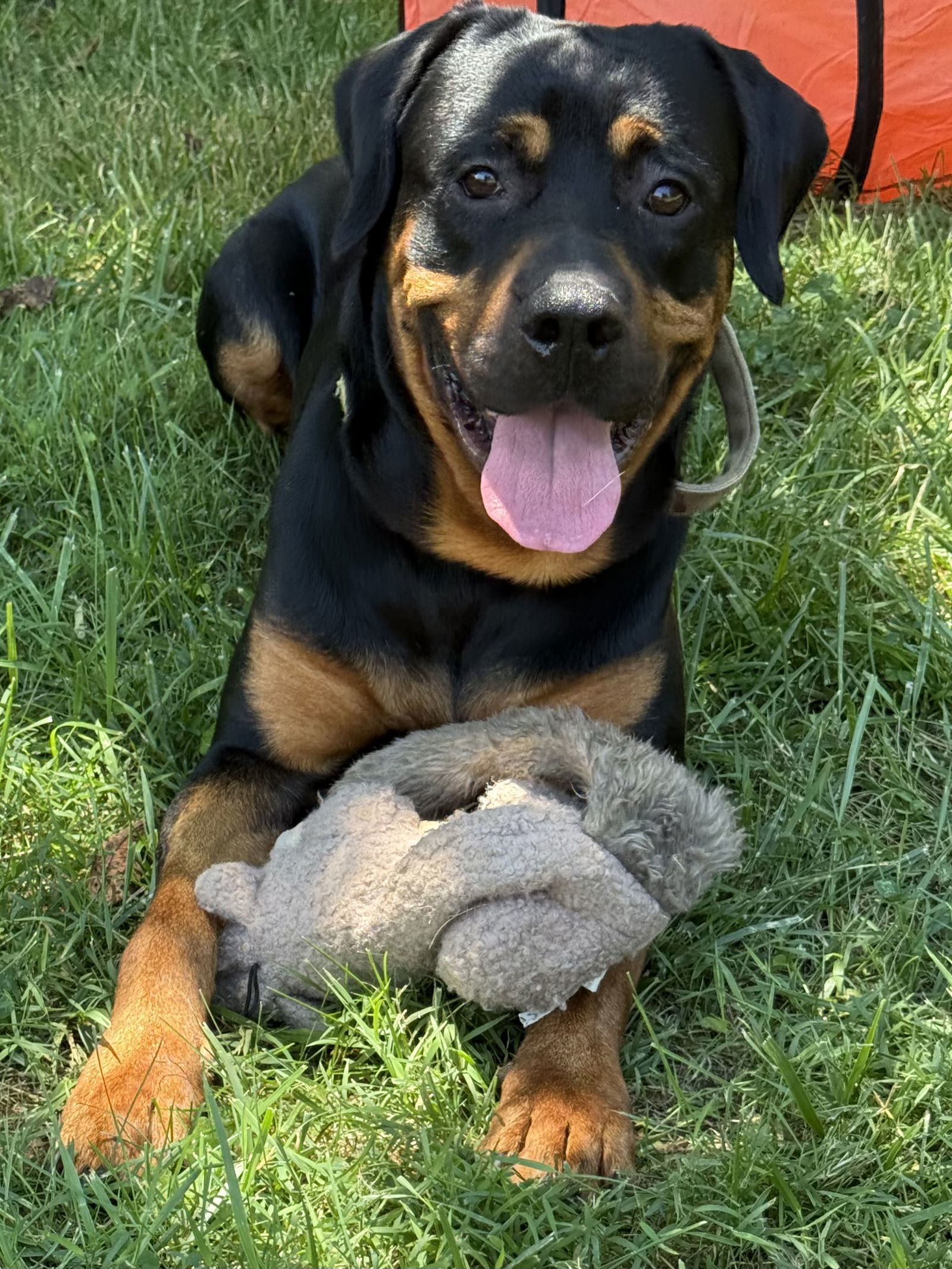 Ryder