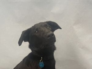 Tucker