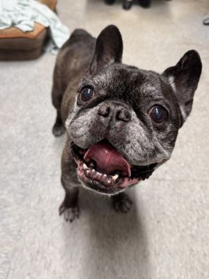 Gucci, Adult Male unknown