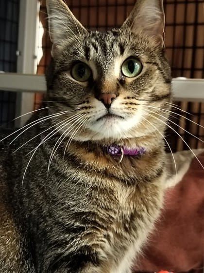 Margo [Bonded to Julius]