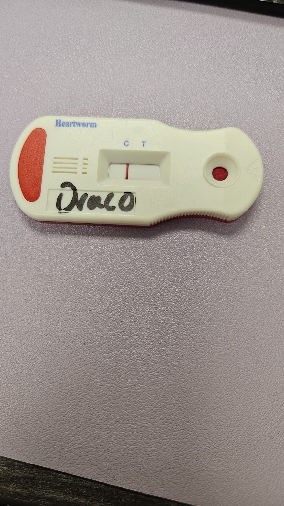 Draco