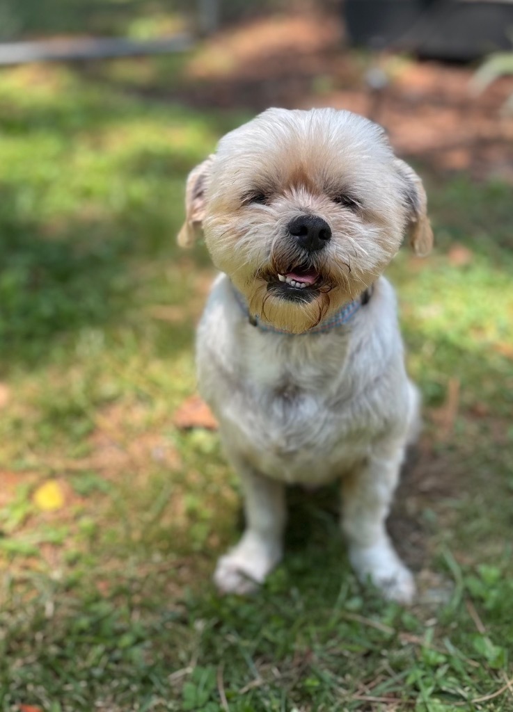 Linus / Lucy