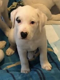 Magnolia, Baby Female unknown