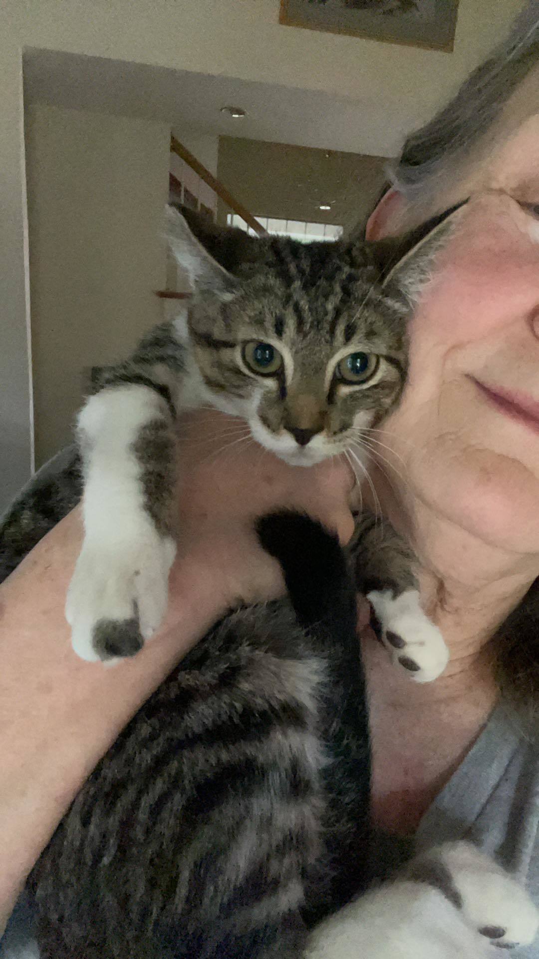 Brutus