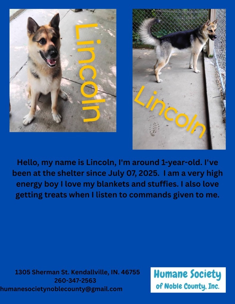 Lincoln