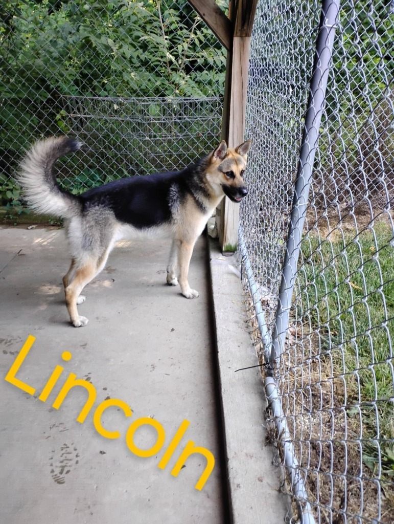 Lincoln