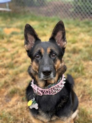 Athena