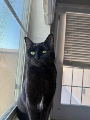 Zenna
