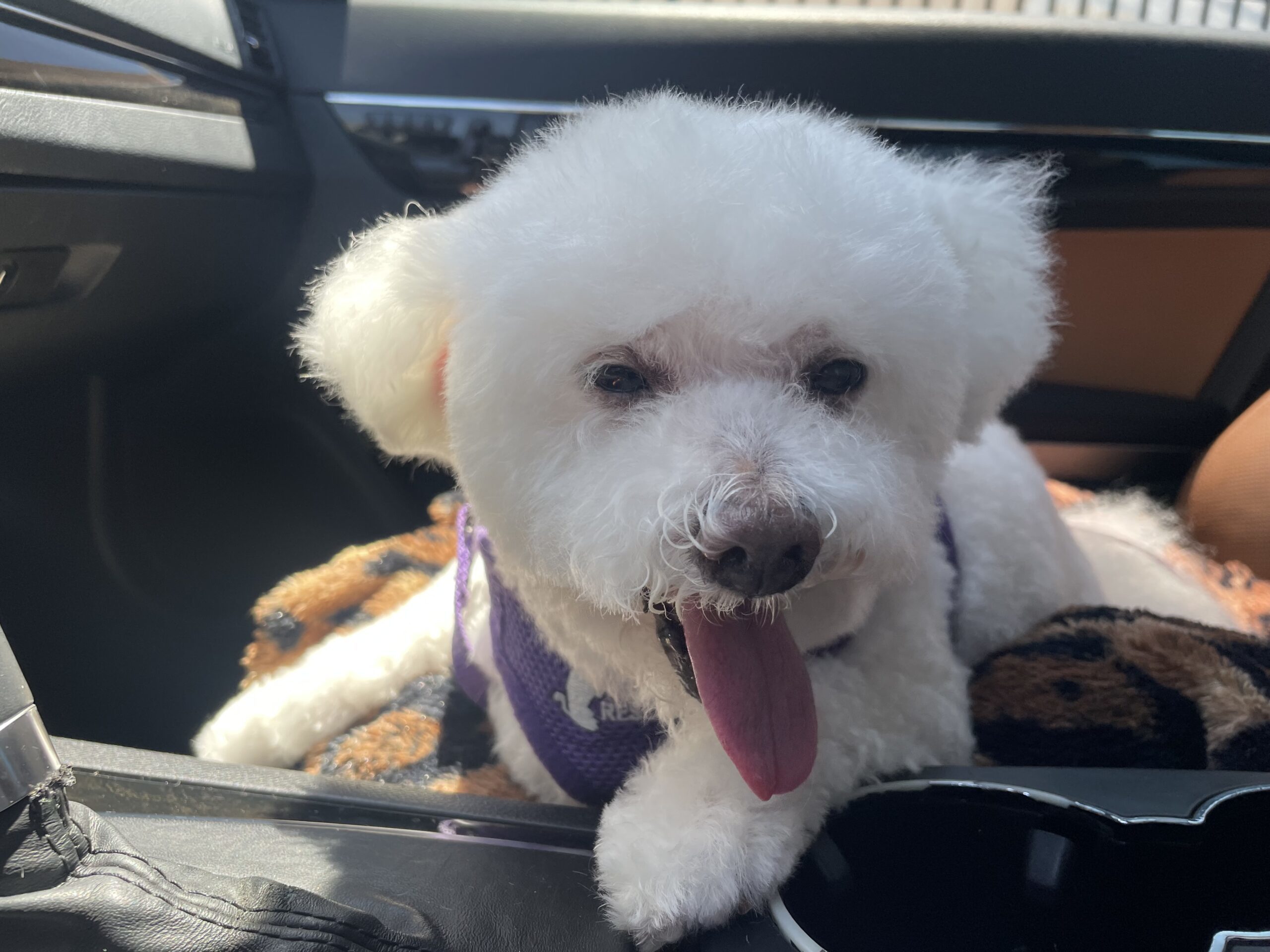 Finnegan #505