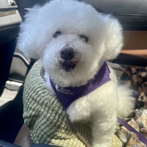 Finnegan #505