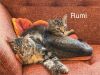 Rumi photo 5