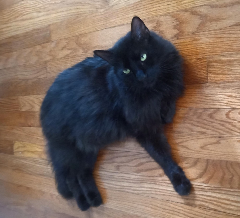 Regal