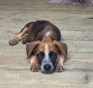 Biz, Baby Male unknown