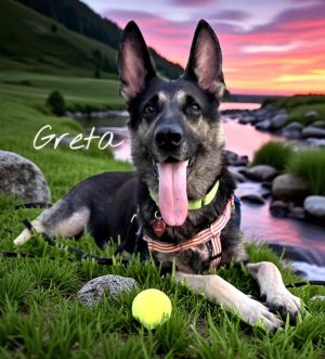 Greta