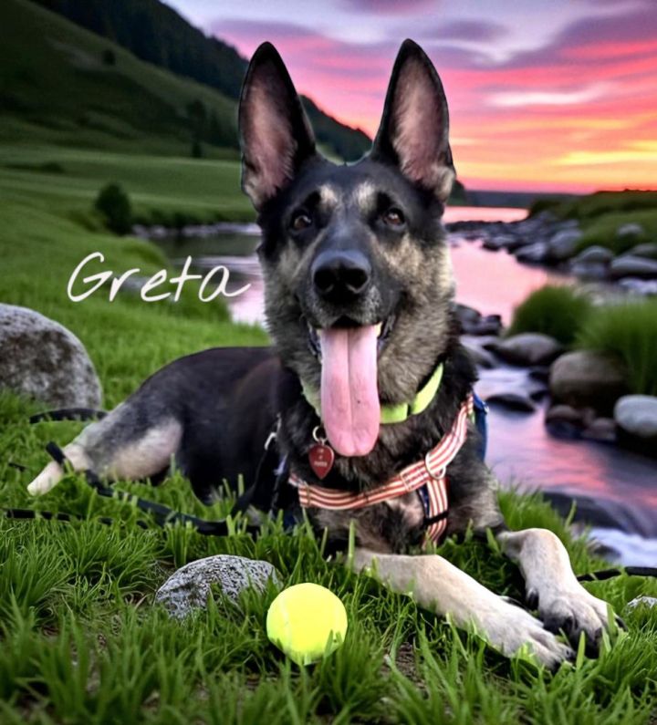 Greta 1